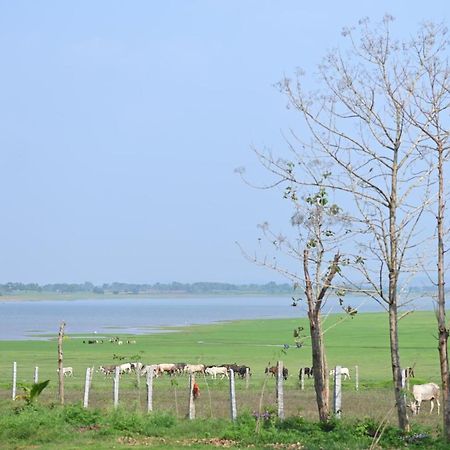 Fireflies Kabini Begūr Екстериор снимка